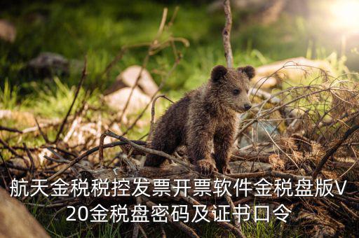 新稅盤證書口令是什么，金稅盤初始密碼和口令是多少