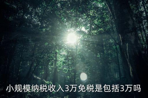 3萬(wàn)免稅是指什么，小規(guī)模納稅收入3萬(wàn)免稅是包括3萬(wàn)嗎