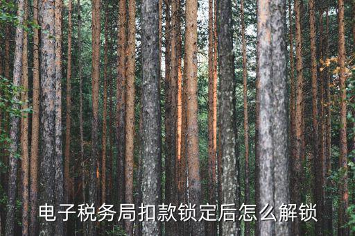 扣款提示稅款鎖定的原因是什么意思，網(wǎng)上繳稅時扣款被鎖定怎么辦