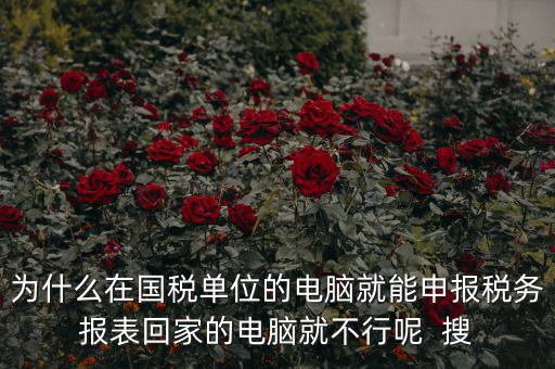 為什么在國稅單位的電腦就能申報(bào)稅務(wù)報(bào)表回家的電腦就不行呢  搜