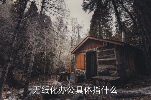 國(guó)稅無紙化辦公是什么意思，無紙化辦公具體指什么