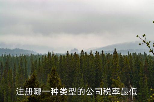 蘇州開什么樣的公司稅率最低，注冊什么類型的公司交稅最少