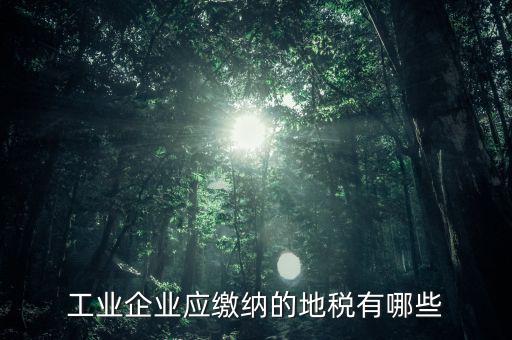 什么企業(yè)交土地使用稅，企業(yè)自有房屋土地使用稅繳納