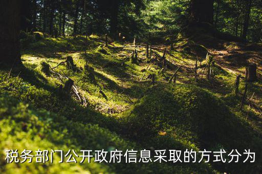 稅務(wù)部門公開(kāi)政府信息采取的方式分為