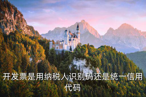 發(fā)票上的信用代碼是什么，現(xiàn)在開發(fā)票要的社會信用代碼是誰的代碼