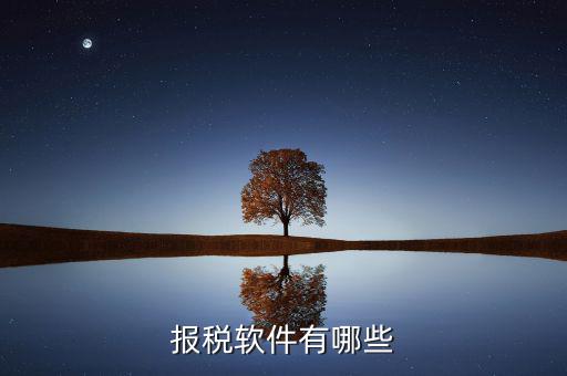 蘇州報(bào)稅用什么軟件，蘇州工業(yè)園區(qū)使用什么電子報(bào)稅系統(tǒng)