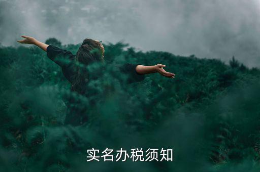 實名制什么叫辦稅人，稅務(wù)局怎么實名制辦稅員