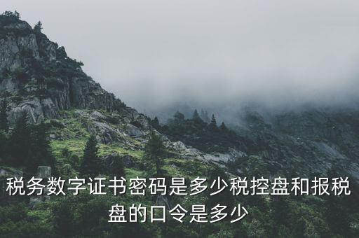 國稅申報ca默認密碼是什么意思，國家稅務總局網上辦稅服務廳初始密碼是什么