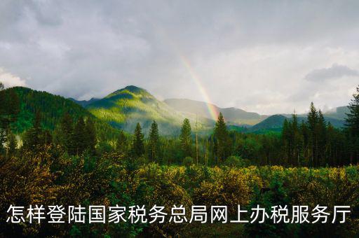 稅務(wù)局登錄什么瀏覽器可以，怎樣登陸國(guó)家稅務(wù)總局網(wǎng)上辦稅服務(wù)廳