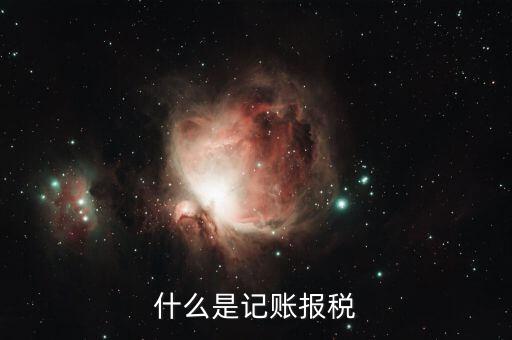 報(bào)稅記錄是指什么，報(bào)稅是什么意思 報(bào)稅的含義
