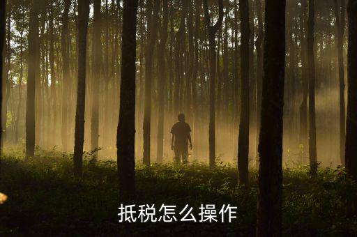 辦理抵稅流程是什么，電子稅務(wù)局退抵稅流程
