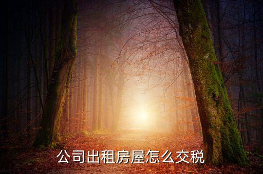 企業(yè)承租房屋交什么稅，公司租賃房屋需要交哪些稅