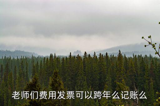 什么發(fā)票可以跨年入賬，增值稅專用發(fā)票可以跨年做賬嗎