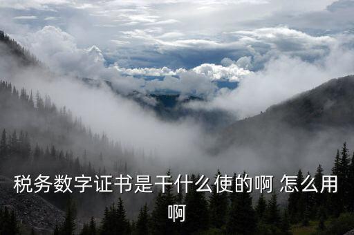 安徽國稅局?jǐn)?shù)字證書是什么意思，稅務(wù)數(shù)字證書是干什么使的啊 怎么用啊