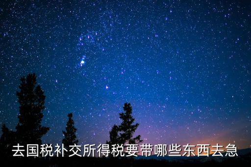 去國(guó)稅補(bǔ)繳增值稅要帶什么，增值稅零申報(bào)逾期申報(bào)了48天 到國(guó)稅補(bǔ)申報(bào)需要準(zhǔn)備什么資料 帶什么