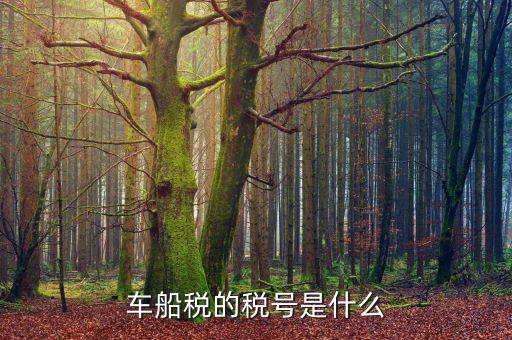 車船稅打印碼什么意思，車船稅是什么