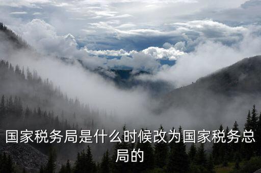 稅務機構改革是什么，稅收征管體制改革內容