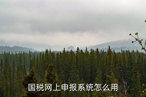 國(guó)稅網(wǎng)絡(luò)預(yù)申請(qǐng)系統(tǒng)是什么，怎么安裝國(guó)稅網(wǎng)上申報(bào)系統(tǒng)