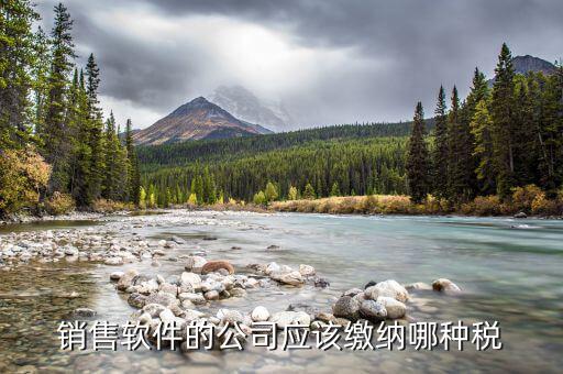軟件營銷應(yīng)該上什么稅，銷售軟件交什么稅