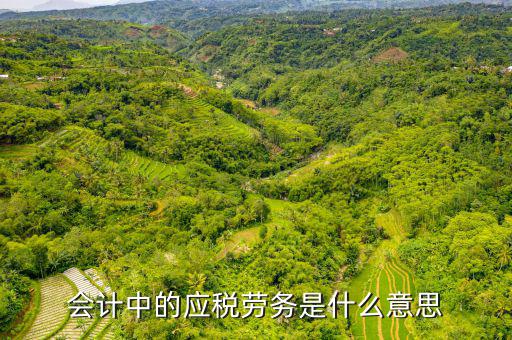 會計中的應稅勞務(wù)是什么意思