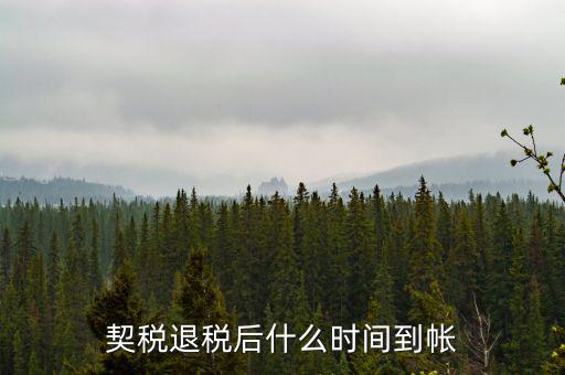 退稅款什么時候到賬，出口退稅款一般多久到賬