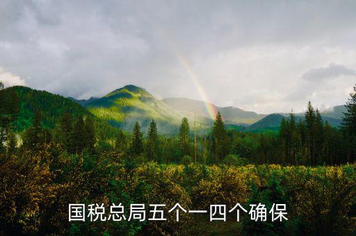 稅務(wù)局五個一是什么意思，國稅總局五個一四個確保