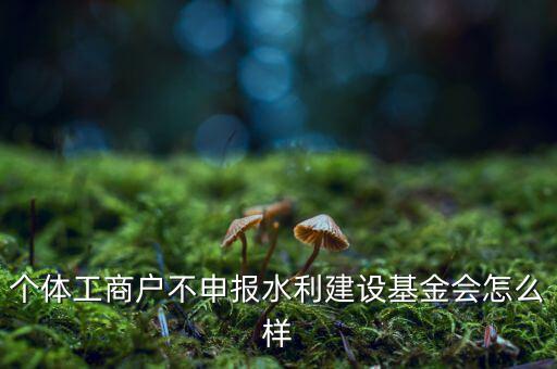 水利基金不報(bào)有什么后果，水利建設(shè)基金計(jì)稅當(dāng)月沒(méi)報(bào)有影響嗎