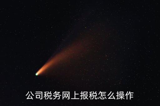 企業(yè)報稅登什么網(wǎng)站，企業(yè)稅務(wù)申報去哪個網(wǎng)站
