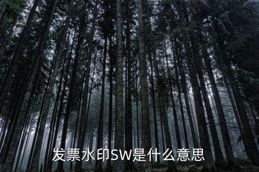 什么是發(fā)票水印，網(wǎng)購怎么辨別發(fā)票真徦