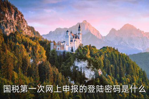 國稅網(wǎng)報口令是什么，國稅第一次網(wǎng)上申報的登陸密碼是什么