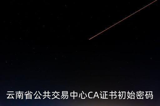 ca原始密碼登錄是什么，蘇州投標(biāo)ca初始密碼