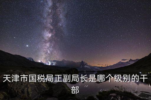 國(guó)稅局副局長(zhǎng)是什么級(jí)別，天津市國(guó)稅局正副局長(zhǎng)是哪個(gè)級(jí)別的干部