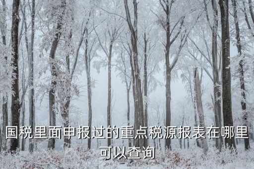 重點(diǎn)稅源預(yù)測(cè)網(wǎng)址是什么，國(guó)稅里面申報(bào)過(guò)的重點(diǎn)稅源報(bào)表在哪里可以查詢(xún)