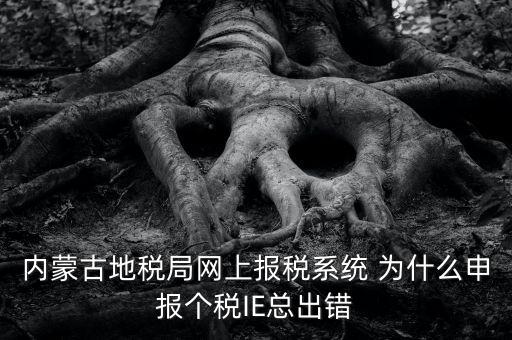 為什么內(nèi)蒙古國地稅網(wǎng)進不去，windows7內(nèi)蒙古地稅報稅系統(tǒng)顯示無法顯示該網(wǎng)頁
