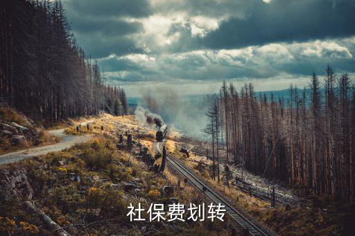 社保費(fèi)征管職責(zé)劃轉(zhuǎn)移交些什么，2020年新疆社會(huì)保險(xiǎn)費(fèi)征管職責(zé)劃轉(zhuǎn)包包括哪些內(nèi)容