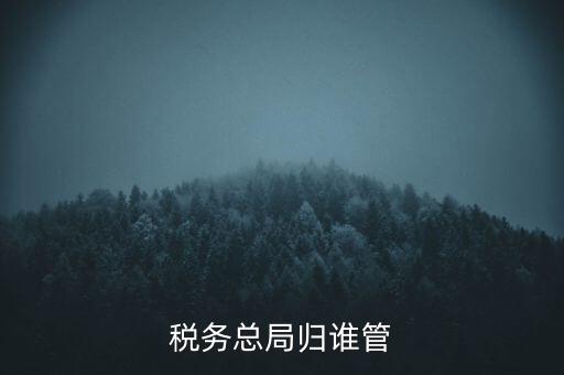 什么部門(mén)監(jiān)管?chē)?guó)稅務(wù)局，稅務(wù)局最怕什么部門(mén)