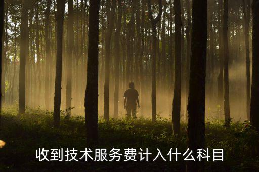 收到技術(shù)服務(wù)費(fèi)計入什么科目
