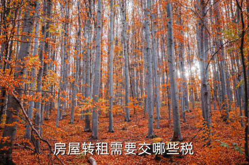 轉(zhuǎn)租房屋需要交什么稅，房屋轉(zhuǎn)租需要交哪些稅