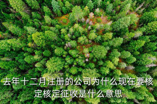 為什么核定征收收據(jù)，查賬征收為什么會轉(zhuǎn)為核定征收