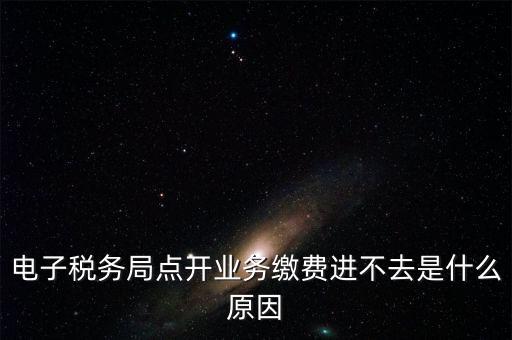 電子稅務(wù)局點開業(yè)務(wù)繳費進(jìn)不去是什么原因