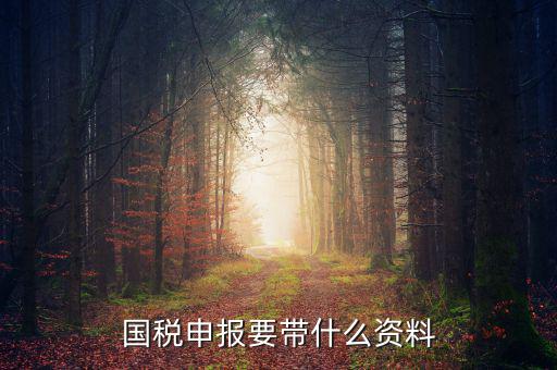 國(guó)稅注冊(cè)需要什么資料，國(guó)稅登記需要帶什么資料