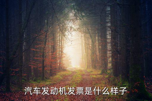 國稅出的機動車發(fā)票是什么樣的，汽車發(fā)動機發(fā)票是什么樣子