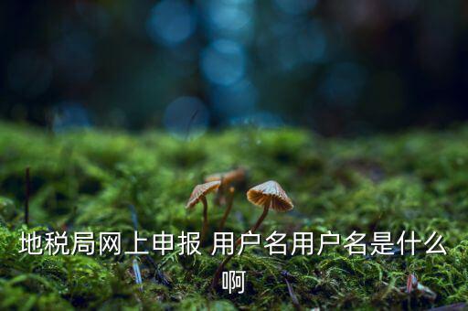 地稅局網(wǎng)上申報(bào) 用戶(hù)名用戶(hù)名是什么啊