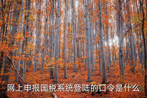 國(guó)稅網(wǎng)報(bào)口令是什么意思，網(wǎng)上申報(bào)國(guó)稅系統(tǒng)登陸的口令是什么