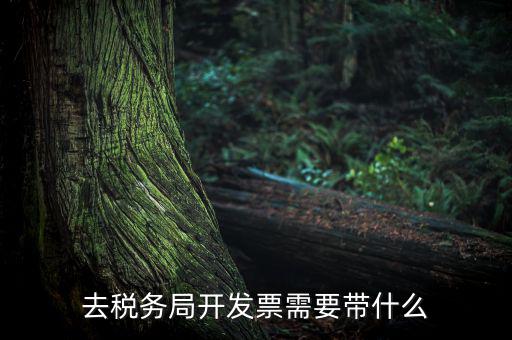 紹興市國稅購增值稅發(fā)票需要帶什么，到稅務(wù)局開增值稅專用發(fā)票帶什么