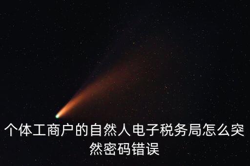 個(gè)體工商戶(hù)的自然人電子稅務(wù)局怎么突然密碼錯(cuò)誤