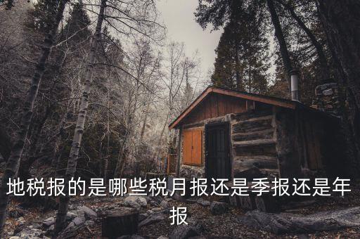 2017地稅月報(bào)的有什么，公司是小規(guī)模納稅人月報(bào)和季報(bào)時(shí)國(guó)稅和地稅各需報(bào)什么  搜