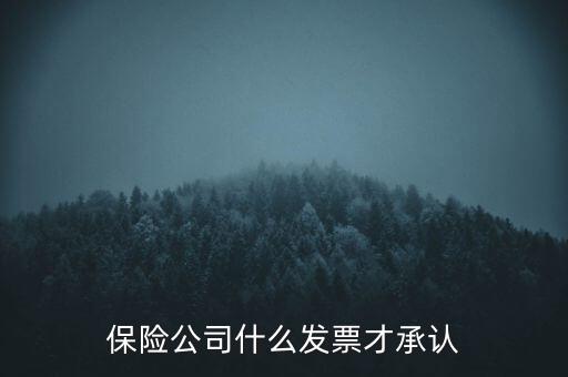 保險公司要什么發(fā)票，保險公司什么發(fā)票才承認