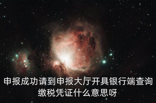 申報(bào)成功請到申報(bào)大廳開具銀行端查詢繳稅憑證什么意思呀