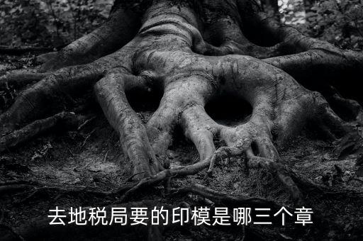 稅務(wù)局原始印模是什么東西，去地稅局要的印模是哪三個章